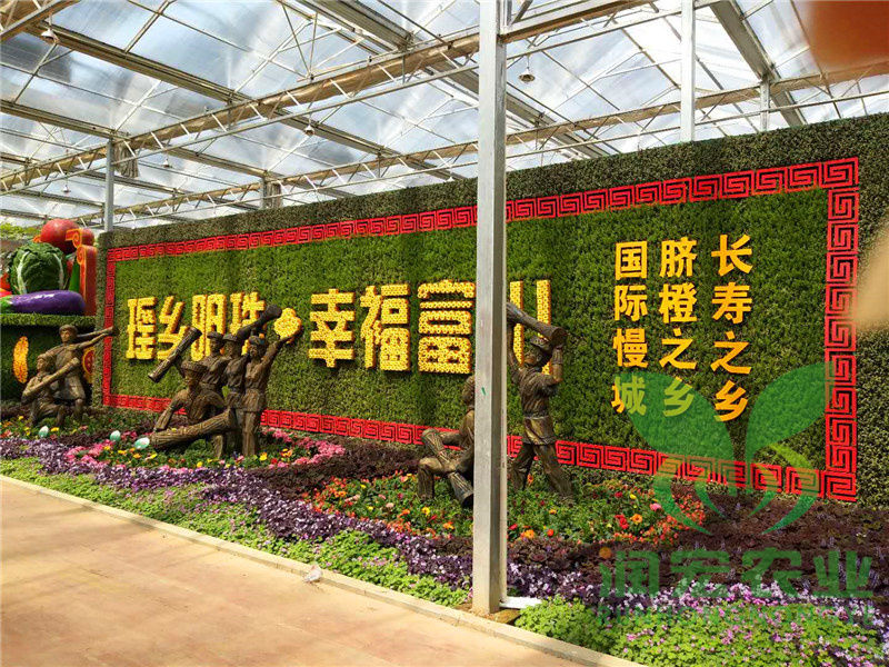 五色草(cǎo)造型