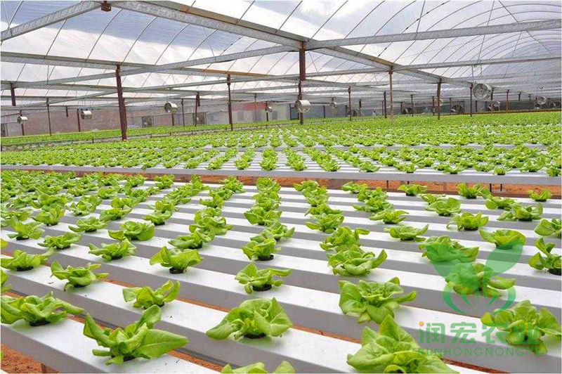 雙膜連棟溫室