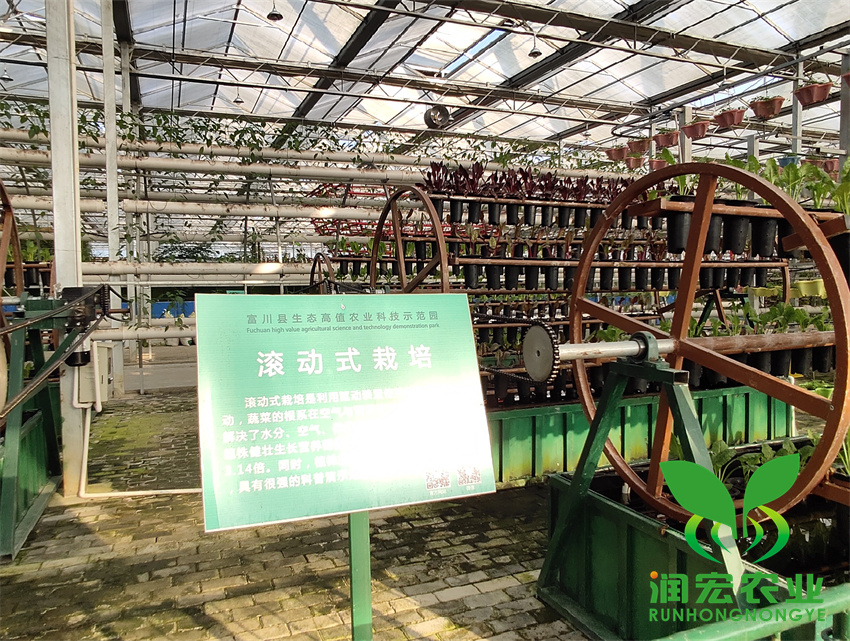 4_副本_副本.jpg