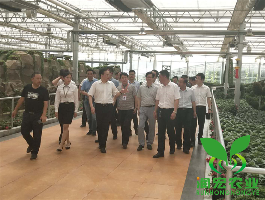 1653101833130464.jpg 2_副本_副本.jpg