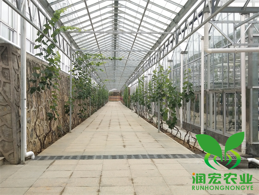 1653101842833917.jpg 3_副本_副本.jpg