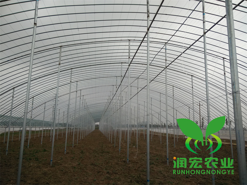 替換2_副本.jpg