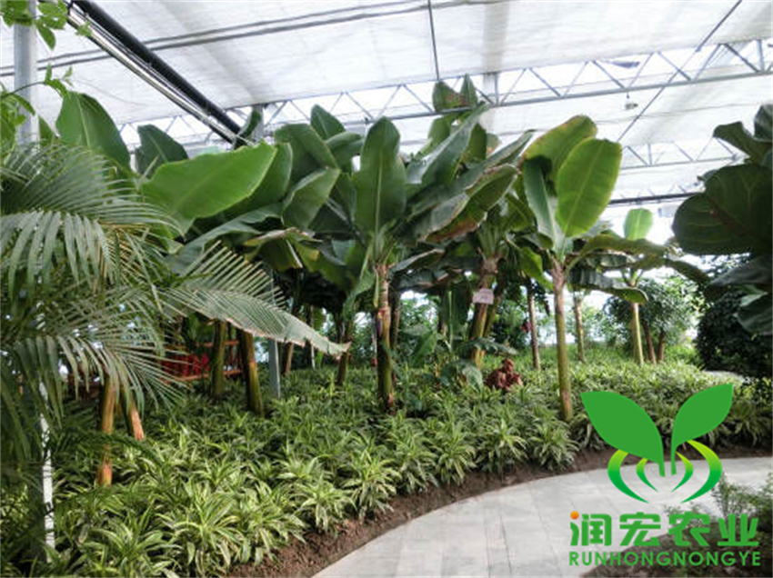 8 (2)_副本.jpg