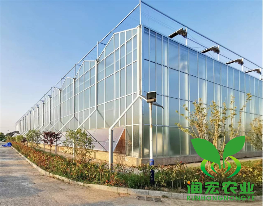 安徽懷遠(yuǎn)縣高(gāo)科(kē)技(jì)栽培展示廳建設及管護項目