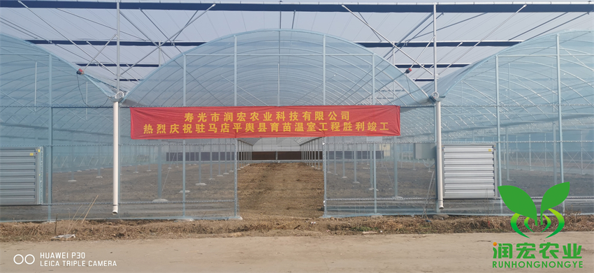 河(hé)南(nán)駐馬店(diàn)平輿縣育苗溫室工(gōng)程