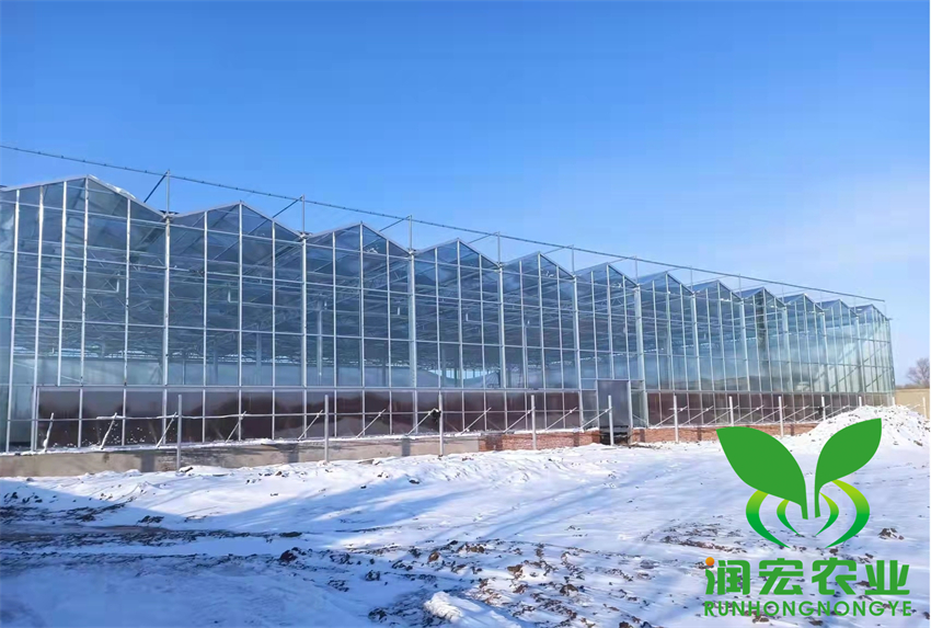 吉林(lín)市(shì)農(nóng)安縣龍禦山(shān)莊項目