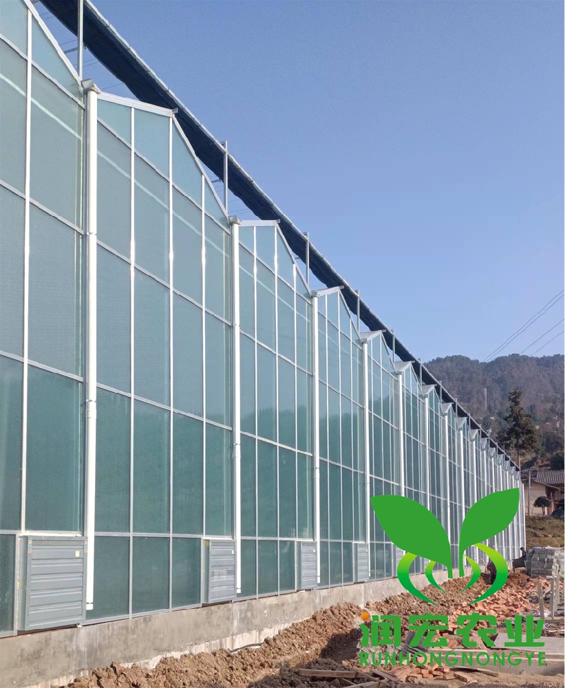 四川通(tōng)江縣鐵(tiě)佛鎮溫室大(dà)棚建設項目