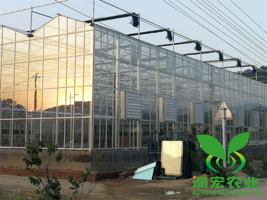 煙(yān)台安德利溫室大(dà)棚建設工(gōng)程