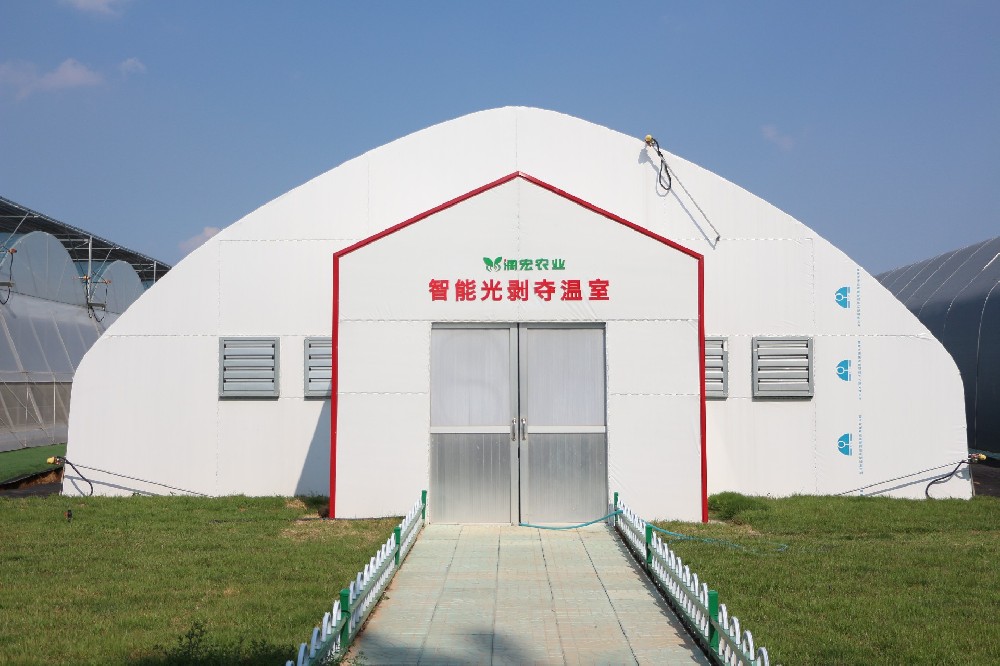 智能(néng)光(guāng)剝奪溫室