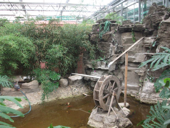 新疆伊犁霍城(chéng)生(shēng)态餐廳