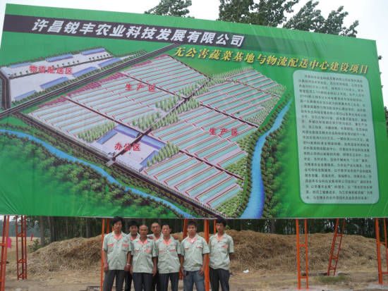 河(hé)南(nán)許昌銳豐無公害蔬菜基地(dì)